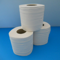 Toilettenpapier zweilagig, naturweiß, recycled, Blattmaß 11,0 x 9,6 cm, 259 Blatt pro Rolle, 64 Rollen pro VPE, 33 VPE pro Palette.