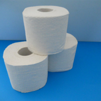 Toilettenpapier dreilagig, aus Zellstoff, Blattmaß 11 x 9,5 cm, EU Ecolabel, 250 Blatt pro Rolle, 72 Rollen pro VPE, 21 VPE pro Palette.