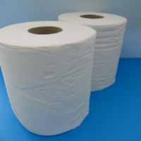 Die Handtuchrolle zweilagig Centerfield Maxi ist eine hochwertige Lösung für die hygienische Handtuchentnahme in öffentlichen Waschräumen.