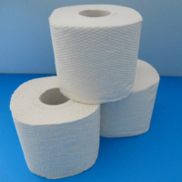 Toilettenpapier dreilagig, weiß, Topa Zellstoff, Blattmaß 12 cm * 9,7 cm, 200 Blatt pro Rolle, 48 Rollen pro VPE, 26 VPE pro Palette.